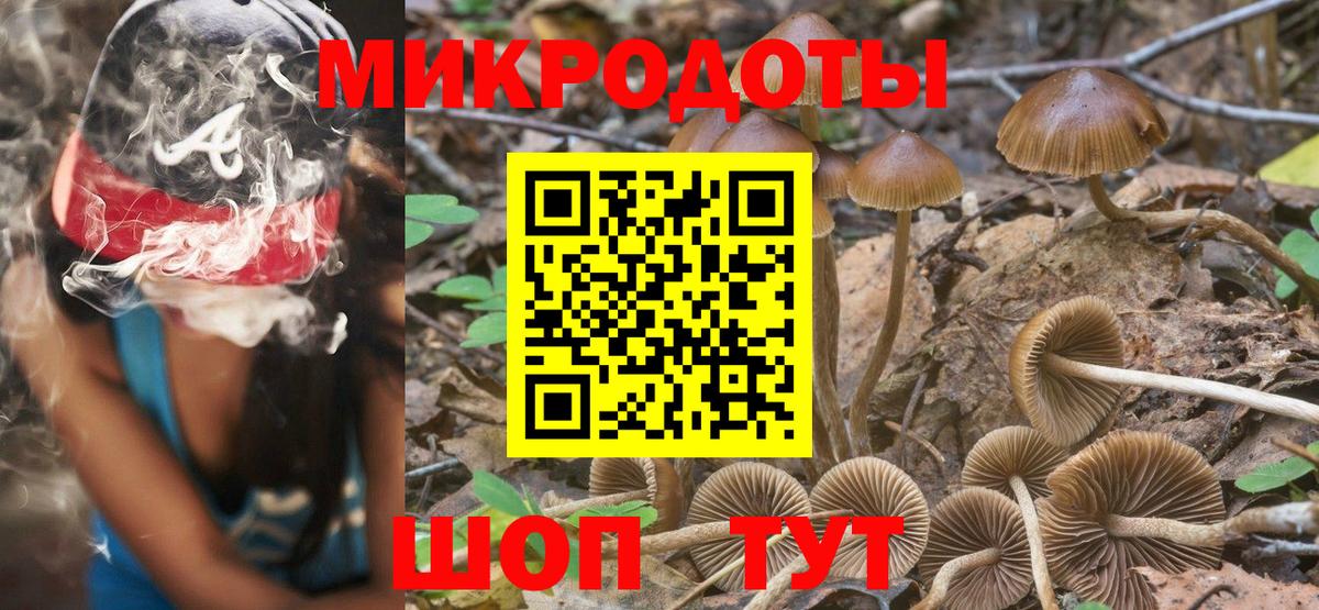 Псилоцибиновые грибы Psilocybe Янаул