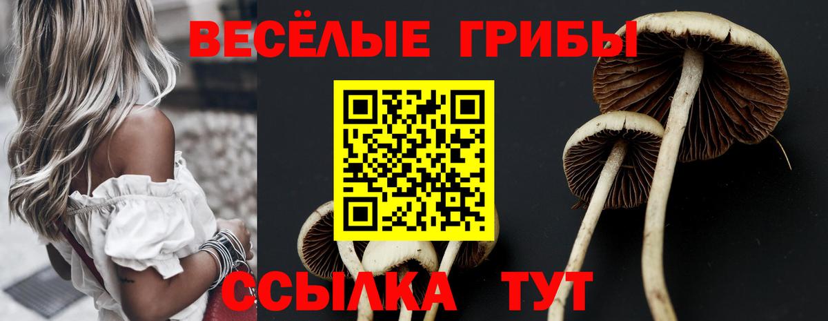 Галлюциногенные грибы ЛСД  Вход с VPN  Янаул 